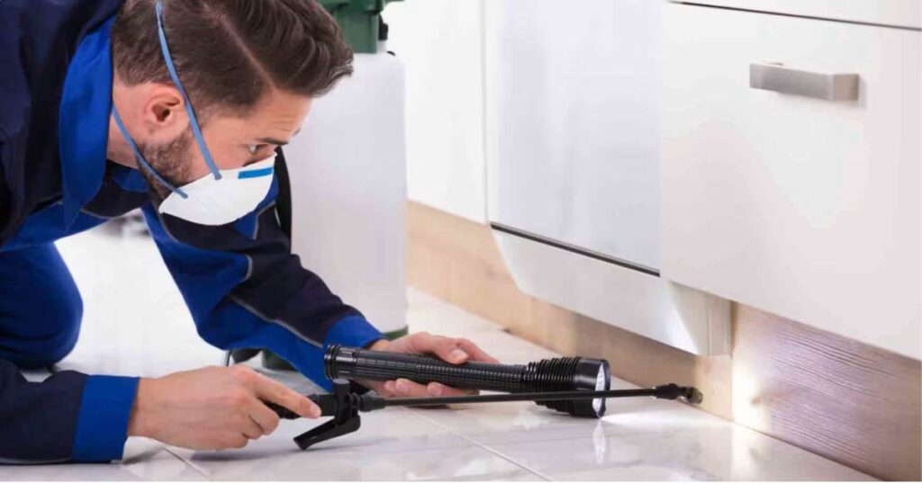 Preventive Pest Maintenance Los Angeles Quarterly Service Plan 1 Los Angeles preventive pest maintenance technician inspecting home 1